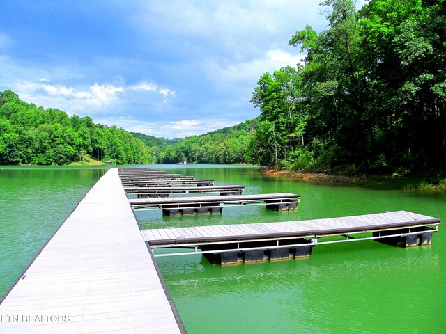 LOT172 Saddleridge Dr, Speedwell, TN 37870