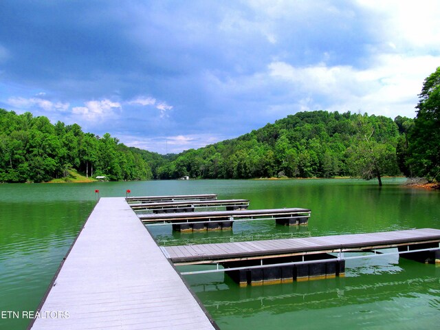 LOT172 Saddleridge Dr, Speedwell, TN 37870