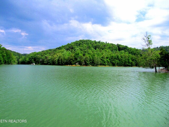 LOT172 Saddleridge Dr, Speedwell, TN 37870