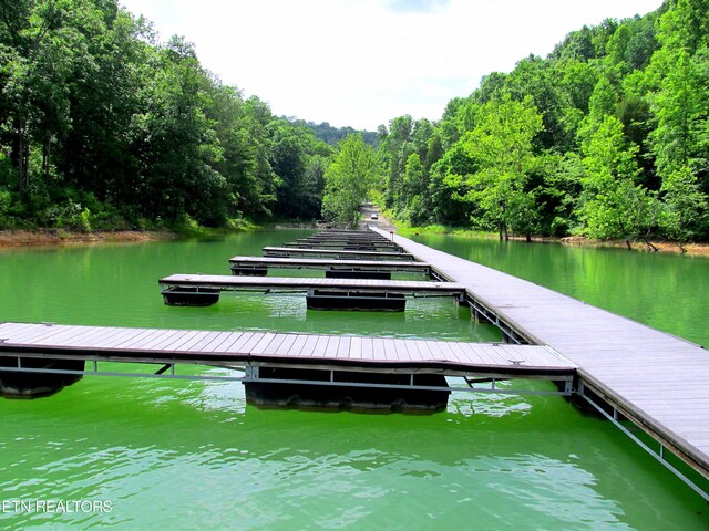 LOT172 Saddleridge Dr, Speedwell, TN 37870