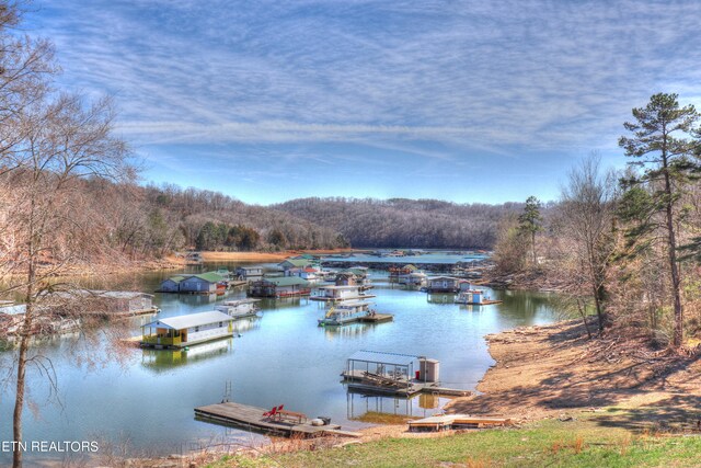 LOT172 Saddleridge Dr, Speedwell, TN 37870