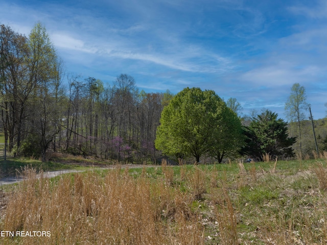 109 Justin Ln, Maynardville TN, 37807 land for sale