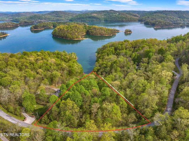 LOT218 Lakeview Dr, Sharps Chapel TN, 37866 land for sale