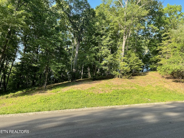 LOT39 Apple Tree Dr, Clinton TN, 37716 land for sale