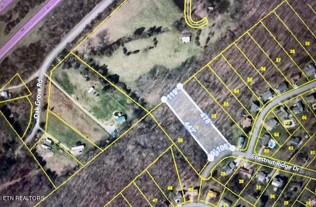 Chestnut Ridge Dr, Lenoir City TN, 37771 land for sale