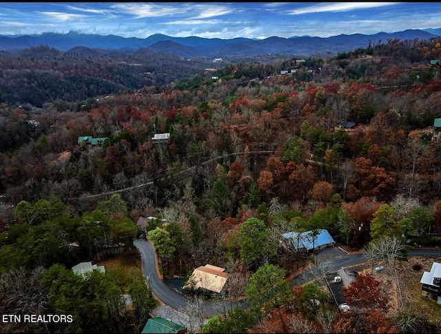 drone / aerial view featuring a mountain view