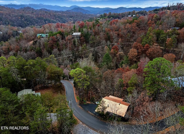 drone / aerial view featuring a mountain view