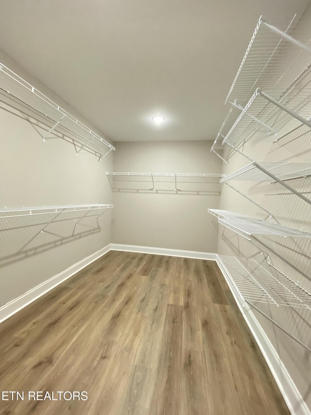 walk in closet featuring hardwood / wood-style flooring