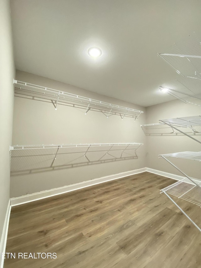 walk in closet featuring hardwood / wood-style flooring