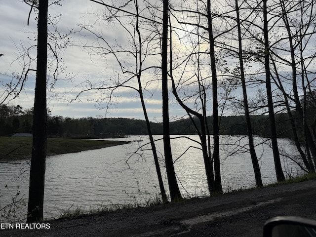 property view of water with a view of trees