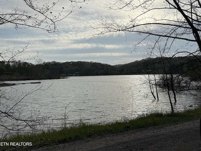 property view of water featuring a forest view