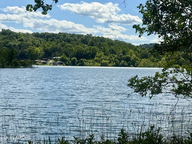 555 Lake Ln, New Tazewell, TN 37825 - water view featuring a heavily wooded area