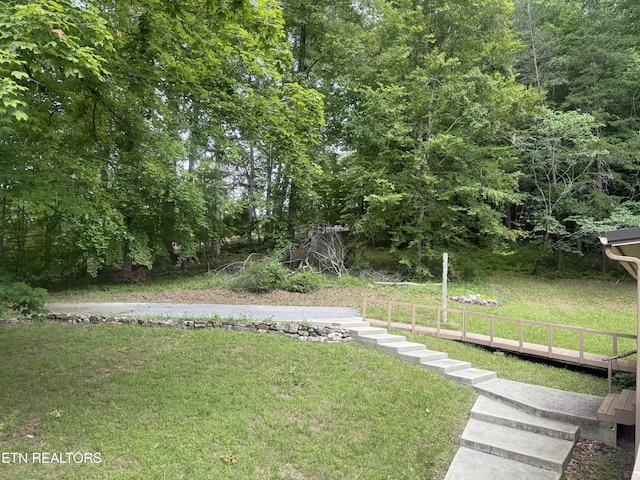 555 Lake Ln, New Tazewell, TN 37825 - view of green lawn
