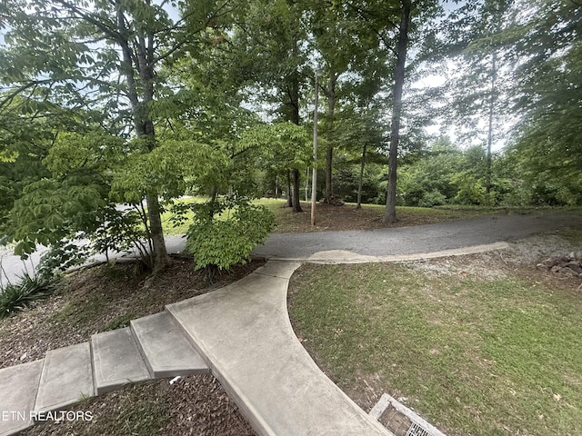 555 Lake Ln, New Tazewell, TN 37825 - view of yard featuring view of wooded area