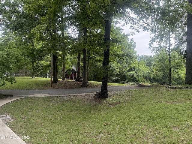 555 Lake Ln, New Tazewell, TN 37825 - view of grassy yard