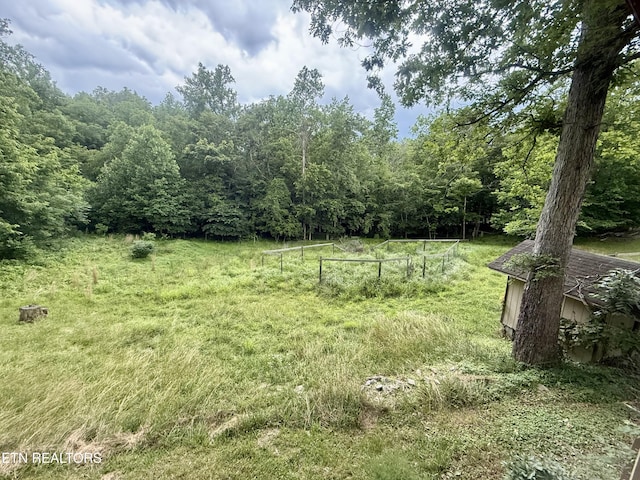 555 Lake Ln, New Tazewell, TN 37825 - view of yard featuring a forest view