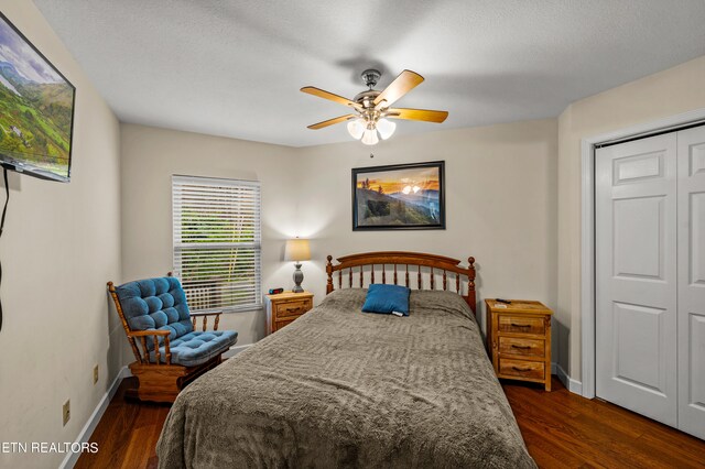 bedroom with a closet, ceiling fan, and dark wood-type flooring