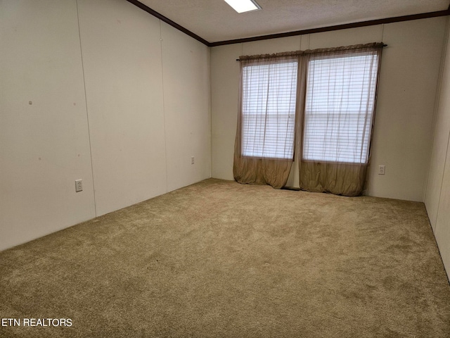 carpeted empty room featuring ornamental molding and a textured ceiling