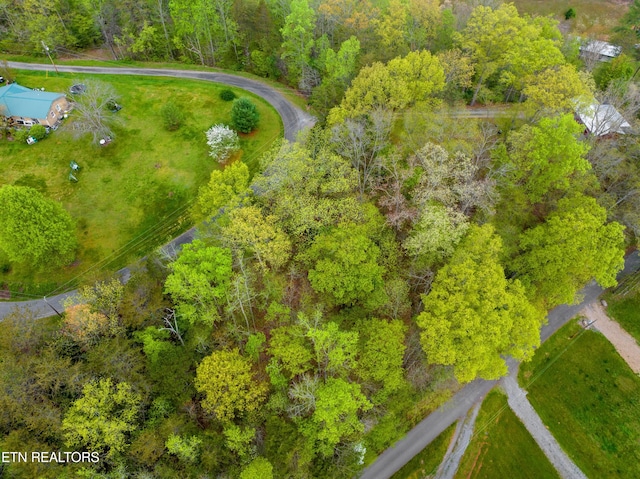 Listing photo 3 for LOT40-42 Rivers Edge Dr, Cosby TN 37722