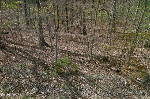 8034 Delaware Dr, Crossville TN, 38572 land for sale