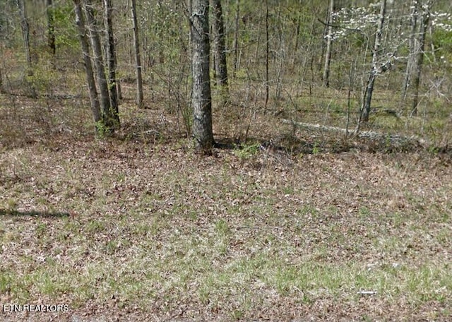 1010 Geronimo Ln, Crossville TN, 38572 land for sale