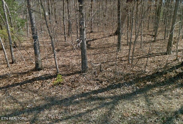 9003 Hondo Dr, Crossville TN, 38572 land for sale