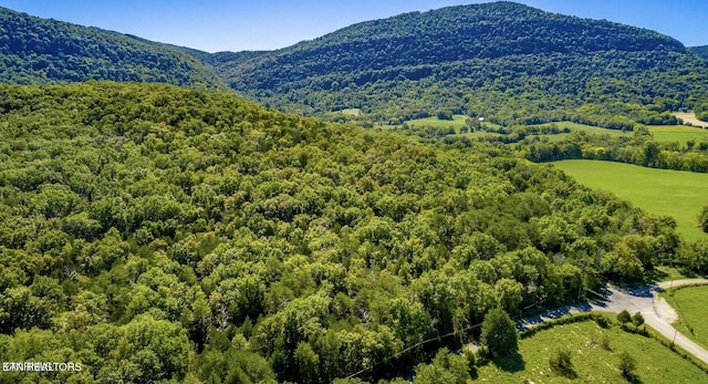 Upper E Valley Rd, Pikeville TN, 37367 land for sale