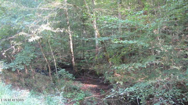 02 Snake Hollow Rd, Sneedville TN, 37869 land for sale