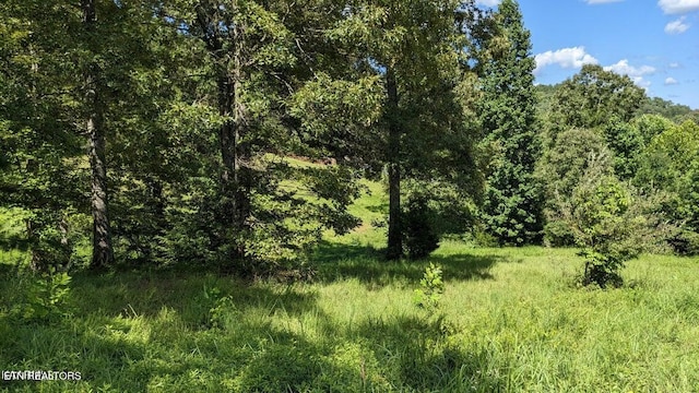 Springwater Run, Madisonville TN, 37354 land for sale