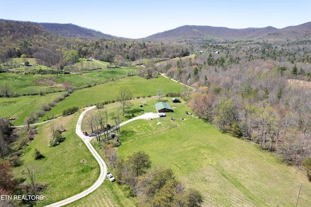 birds eye view of property with a rural view and a mountain view