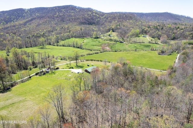 birds eye view of property featuring a rural view and a mountain view