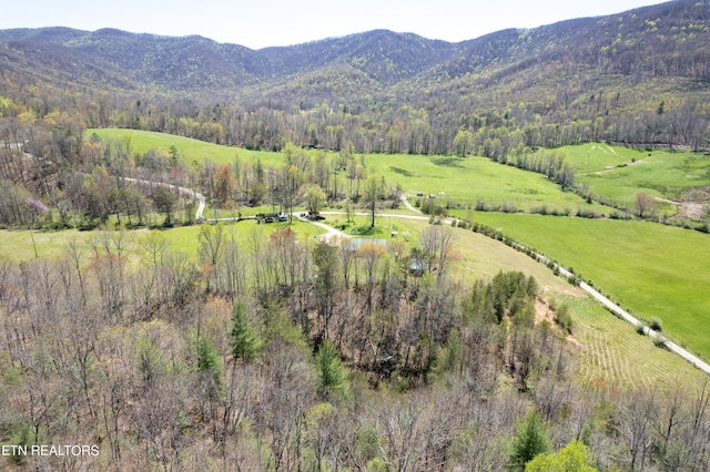 birds eye view of property with a mountain view and a rural view