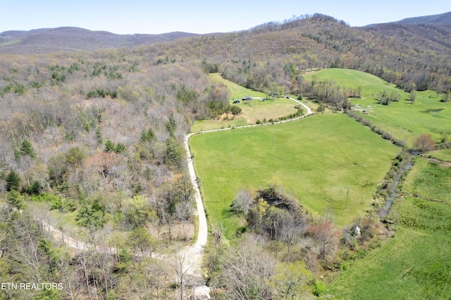 birds eye view of property featuring a mountain view