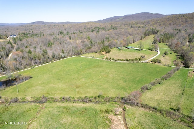 drone / aerial view with a rural view and a mountain view