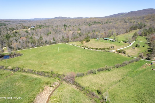 birds eye view of property featuring a mountain view and a rural view