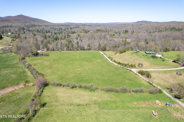 aerial view with a mountain view and a rural view