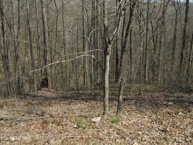 4.71AC Hunters S Landing Ln, Smithville TN, 37166 land for sale