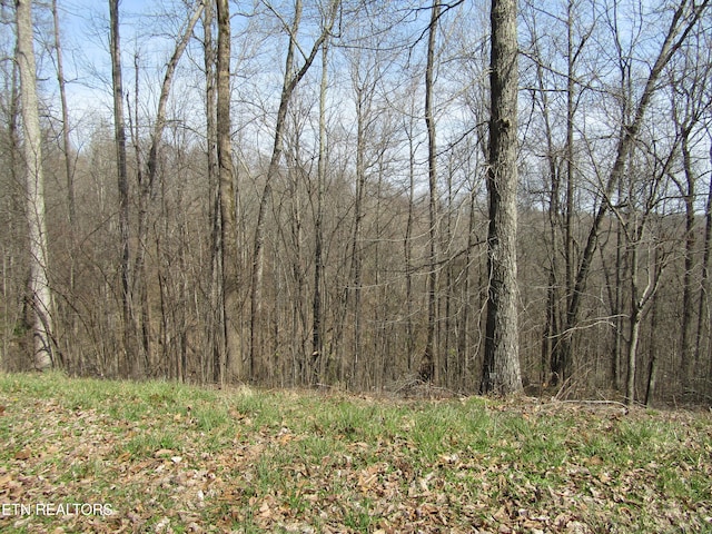 Listing photo 2 for 4.71AC Hunters S Landing Ln, Smithville TN 37166