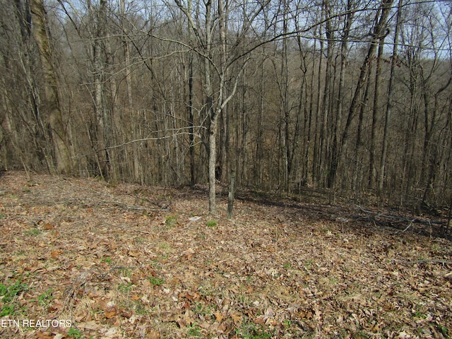 Listing photo 3 for 4.71AC Hunters S Landing Ln, Smithville TN 37166