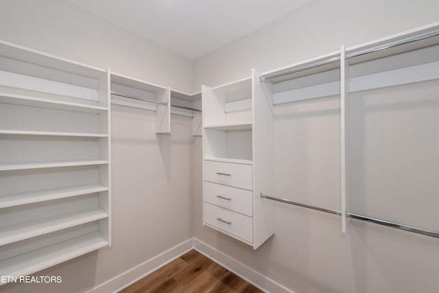 walk in closet featuring hardwood / wood-style flooring