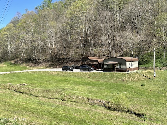 view of yard featuring a carport