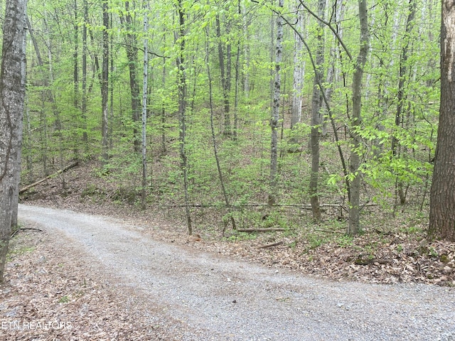 5 Lakewood Rd Lot4, Maynardville TN, 37807 land for sale