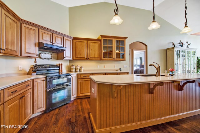 kitchen with high vaulted ceiling, a breakfast bar, dark hardwood / wood-style flooring, sink, and electric range