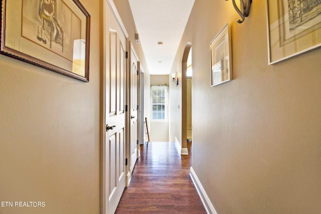 hall with dark hardwood / wood-style floors