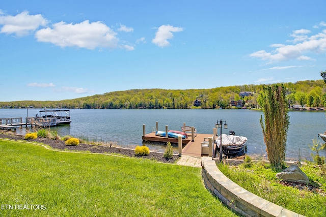 dock area featuring a water view and a lawn