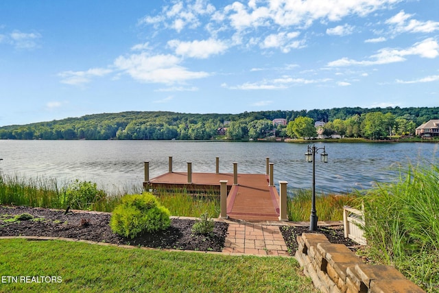 21 Mariners Ct, Fairfield Glade, TN 38558 - photo 54