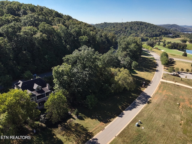 585 Black Cove Ln, Loudon TN, 37774 land for sale