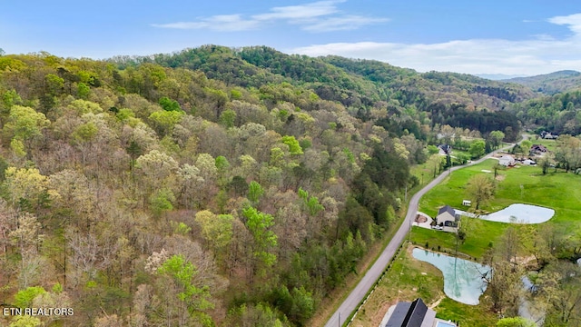 Pumpkin Hollow Rd, Heiskell TN, 37754 land for sale