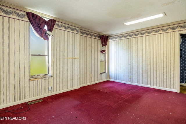 empty room featuring a textured ceiling and carpet flooring