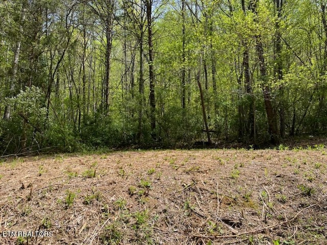 Cabin Rd, Speedwell TN, 37870 land for sale